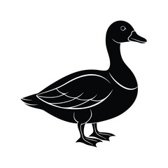 silhouette of a cute duck vector illustration Design