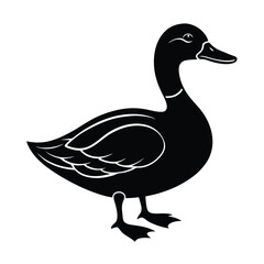 silhouette of a cute duck vector illustration Design