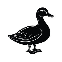 Beautiful silhouette of duck vector illustration Design
