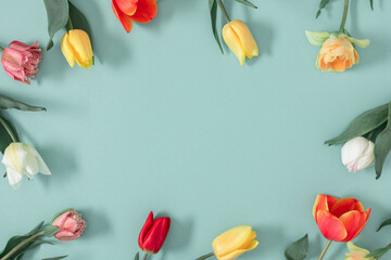Floral background, pattern on mint background. Frame of beautiful multicolored tulips. Floral...