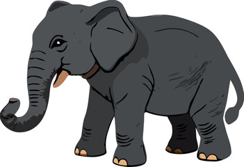 Large gray elephant standing and showing trunk