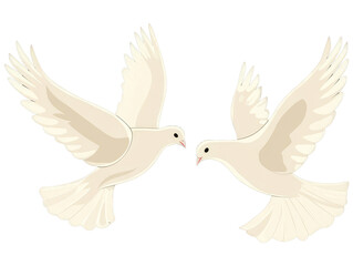Obraz premium clipart of flying white doves 1