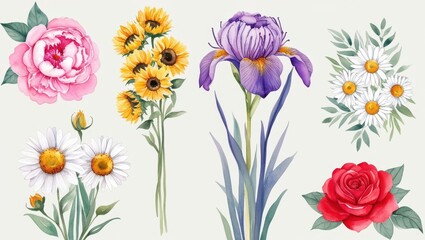 Watercolor Floral Collection Roses Sunflowers Daisies Irises