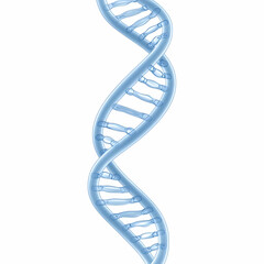 3D DNA Helix Illustration