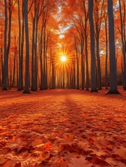 Fotobehang Sunburst through autumnal forest. © beda
