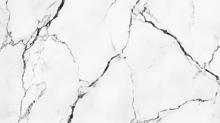 Fototapeta premium Elegant White Granite with Dark Veining