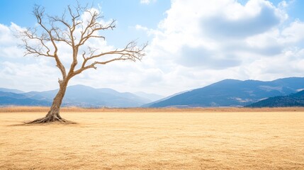 Fototapeta premium A lone, bare tree stands in a vast, dry landscape with distant mountains under a bright sky, This serene image can be used for themes of solitude, nature, and environmental consciousness,