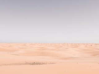 Vast and Serene Desert Landscape Under a Clear Sky with Soft Sand Dunes and Minimal Vegetation Offering a Tranquil and Peaceful Nature Scene