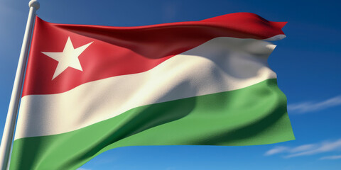 Fototapeta premium Flag of Madagascar