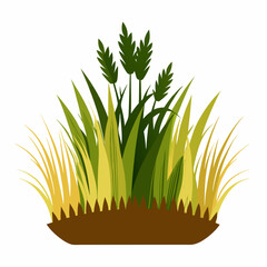 grass in a white background