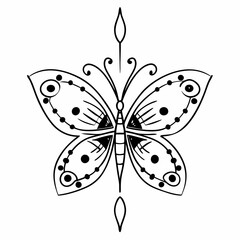 butterfly illustration