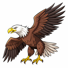 american bald eagle