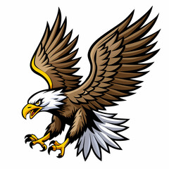 Obraz premium eagle in flight