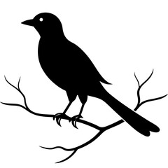 crow on a branch