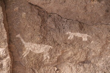 pintura rupestre de lhamas nas cuevas de sumbay, peru