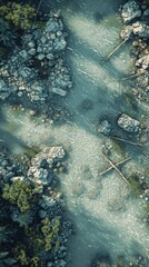 Aerial View of Rocky Riverbed and Lush Forest