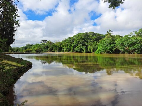 Uma linda vista de um lago com reflexo do c&eacute;u e da vegeta&ccedil;&atilde;o, na cidade de Cotia, estado de S&atilde;o Paulo, Brasil.
