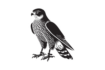 simple black an white goshawk vector silhouette isolated on a white background