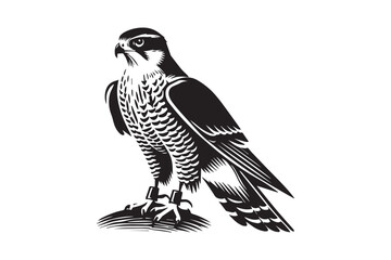 simple black an white goshawk vector silhouette isolated on a white background