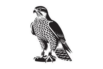 simple black an white goshawk vector silhouette isolated on a white background