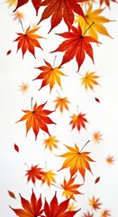 Autumn leaves fall in air. Vivid red, yellow maple leaves float against white background. Autumnal colors in motion. Seasonal backdrop. Natural foliage image. Nature design element. Colorful foliage.
