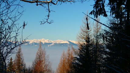 am B&auml;renkogel  mit Blick auf das Schneealpenmassiv