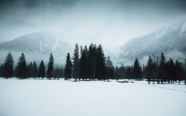winter landscape in the mountains