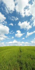 Fototapeta premium Vibrant green meadow under a vast, cloud-studded blue sky, beauty, nature
