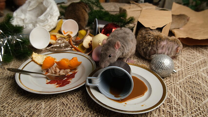Rats are running on the table with leftover food after holiday party.