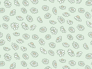 Seamless pattern of floral plants, flowers, daisies, chamomile, daisy. Decorative elements for decoration. Hand drawing doodles of vector botanical elements in flat style