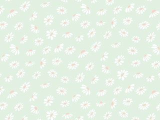 Seamless pattern of floral plants, flowers, daisies, chamomile, daisy. Decorative elements for decoration. Hand drawing doodles of vector botanical elements in flat style