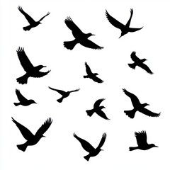 Obraz premium Silhouettes of various birds in flight against a white background, creating a dynamic and artistic image.