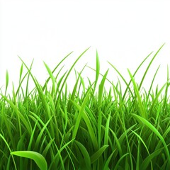 Fototapeta premium Lush, vibrant green grass against a bright white background, evoking freshness and natural beauty.