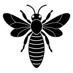 illustration of a bee