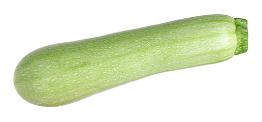 One fresh ripe zucchini isolated on white