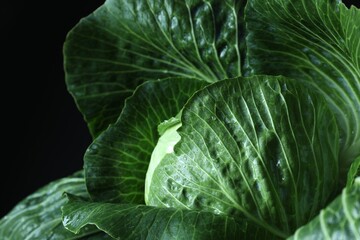 Obraz premium Whole ripe head of cabbage on dark background, closeup
