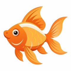 fish isolated on white background