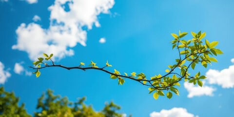 Fototapeta premium Vibrant Spring Branch with Fresh Green Leaves Against a Sunny Blue Sky