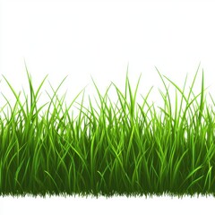 Fototapeta premium Vibrant green blades of grass create a lively and fresh natural backdrop.