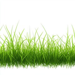 Obraz premium Vibrant green grass blades swaying gently against a white background.