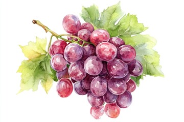 Fototapeta premium A bouquet of colorful grapes depicted in watercolor style