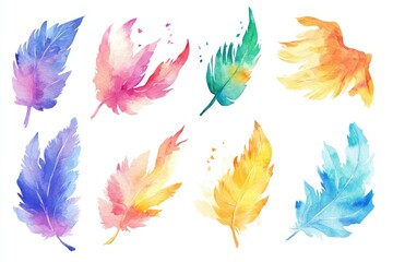 Colorful feather illustrations on a clean white surface, ideal for use in design projects or as decorative elements
