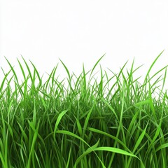 Fototapeta premium Vibrant green grass blades against a clean, white background, evoking freshness and nature's beauty.