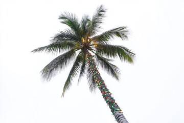 Obraz premium A palm tree decorated with Christmas lights on a cloudy day