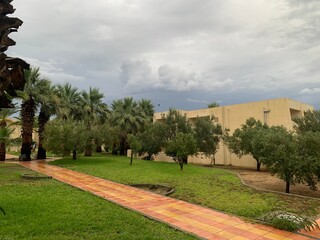 Summer storm in Tunisia. Nice green garden with palms and path after the rain. Grey storm clouds. 
