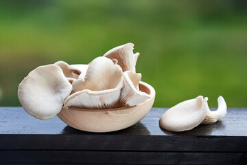 Fresh oyster mushroom in a wooden bowl