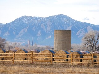 Large round bales of hay and silo in winter, Boulder, Colorado
