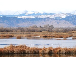 Winter prairie and Rocky Mountains seen from the lakeside, Boulder, Colorado