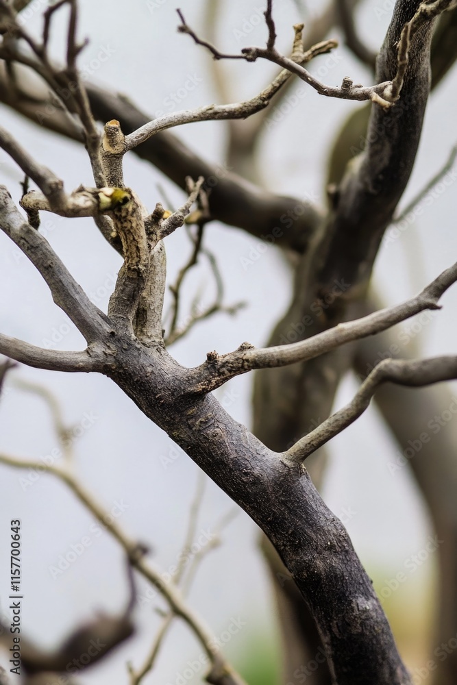 Poster a bird perched on a branch of a tree
