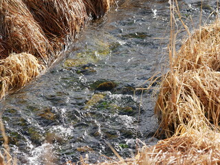 Creek flowing through winter prairie, Boulder, Colorado